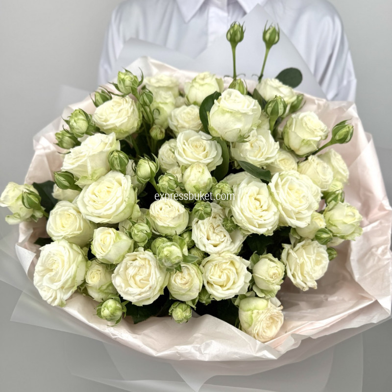 Утренние розы