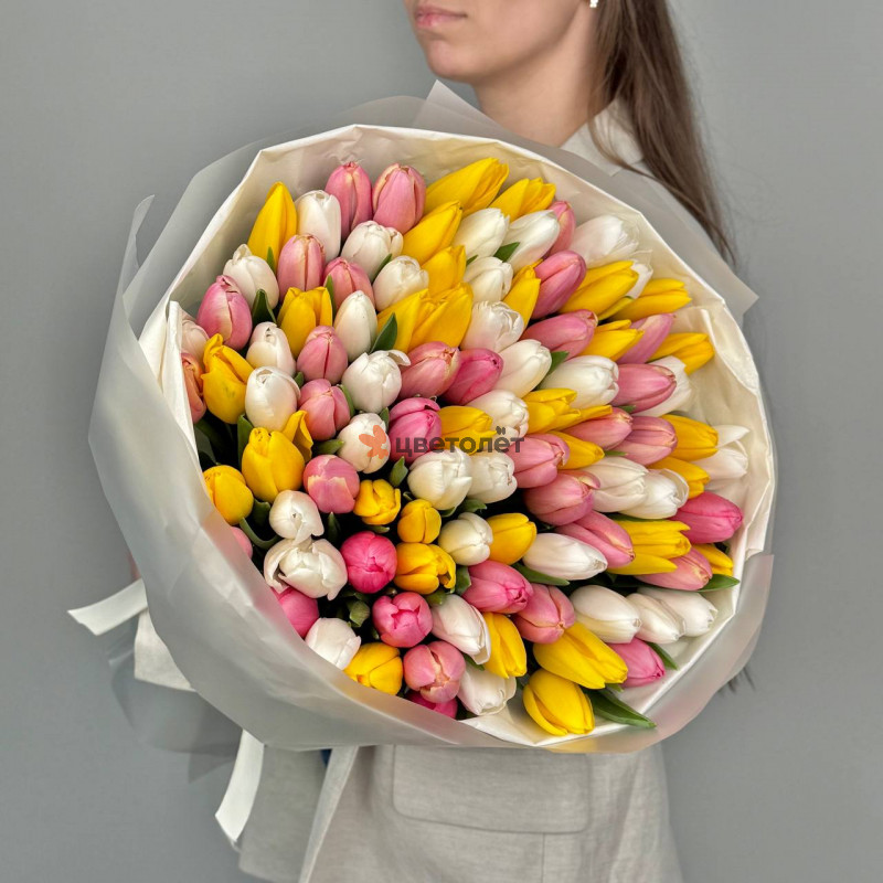 101 нежный тюльпан