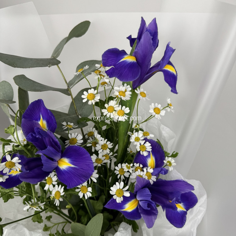 Акварельное вдохновение