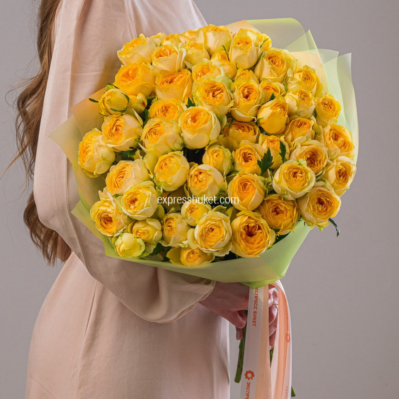 Классика роз