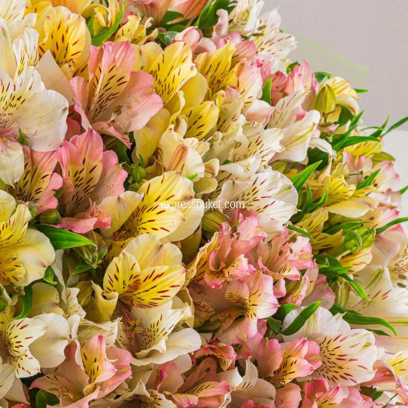 Букет из 19 альстромерий