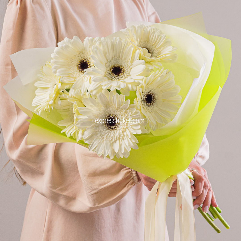 Букет из 7 белых гербер