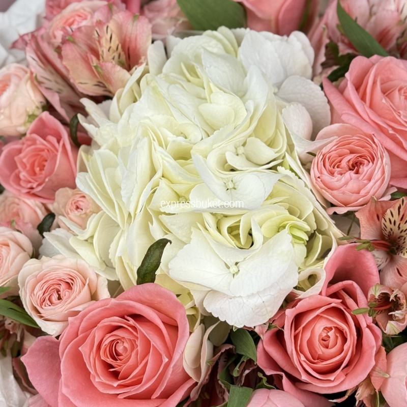 В объятиях цвета