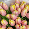 Персиковые тюльпаны, 35 шт 