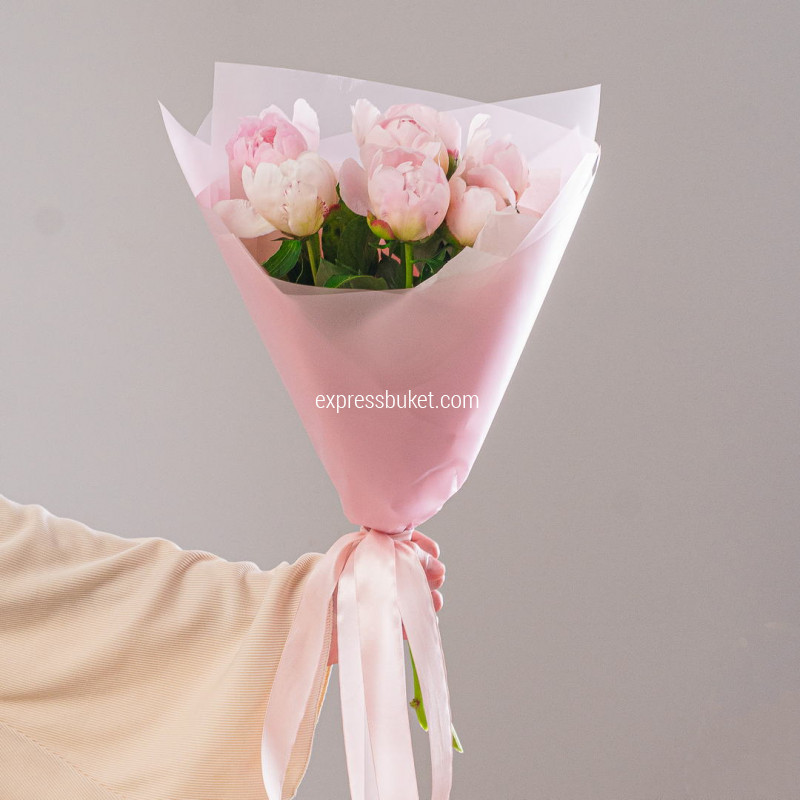 Розовые пионы 7 шт