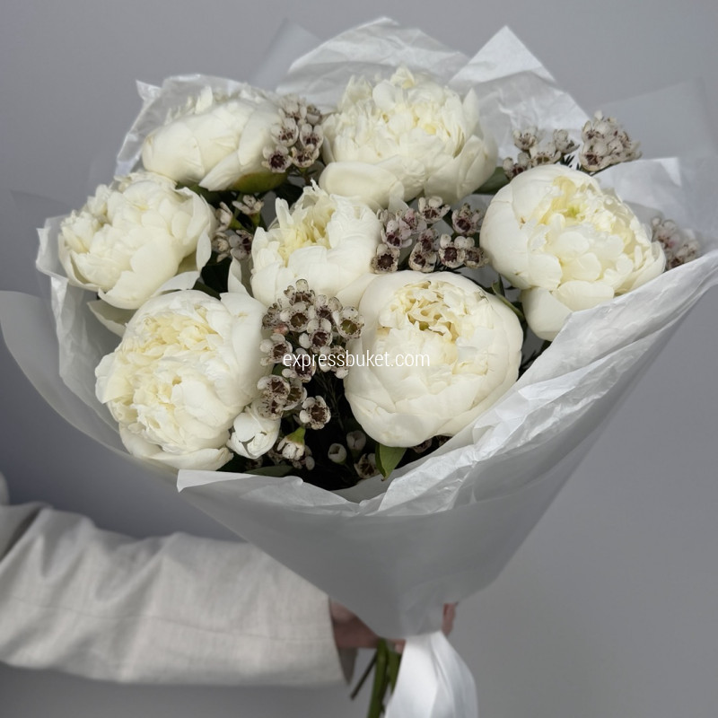 Белая жемчужина