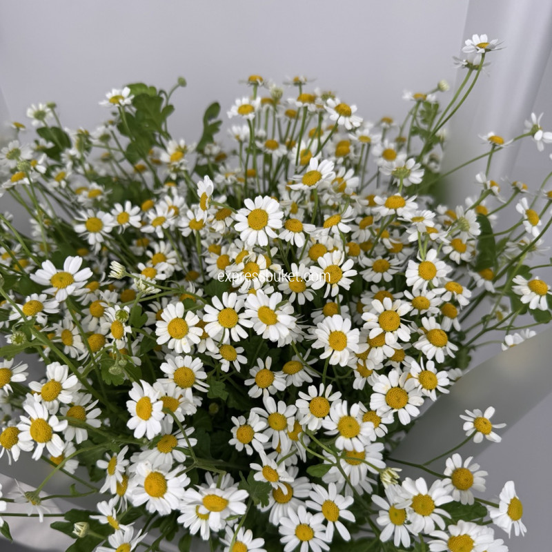 Букет эмоций