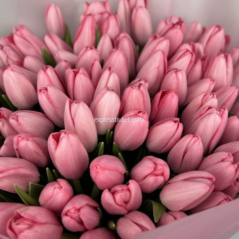 Трепетное ожидание