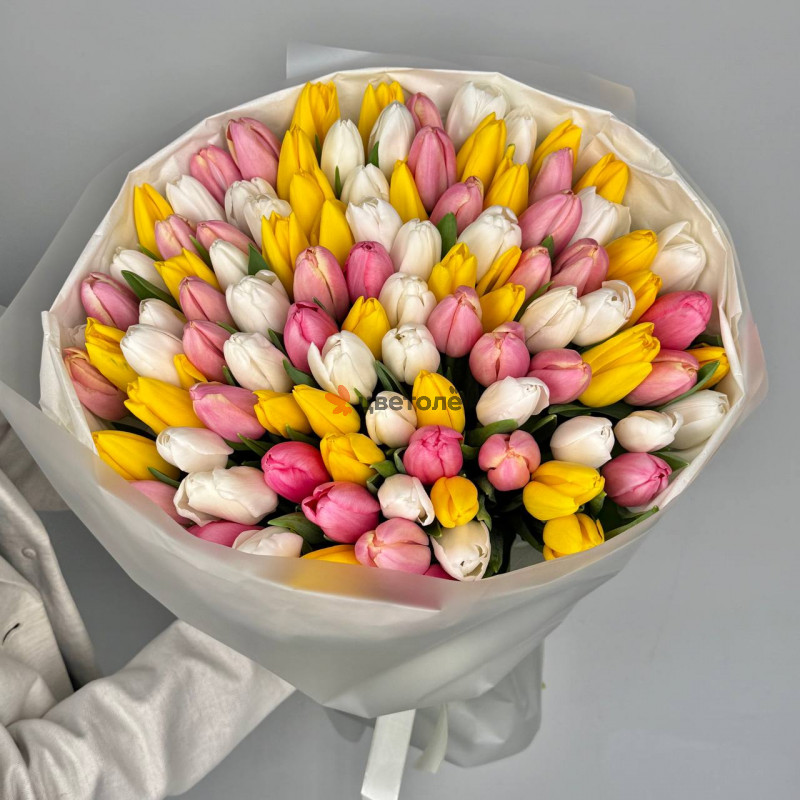 101 нежный тюльпан