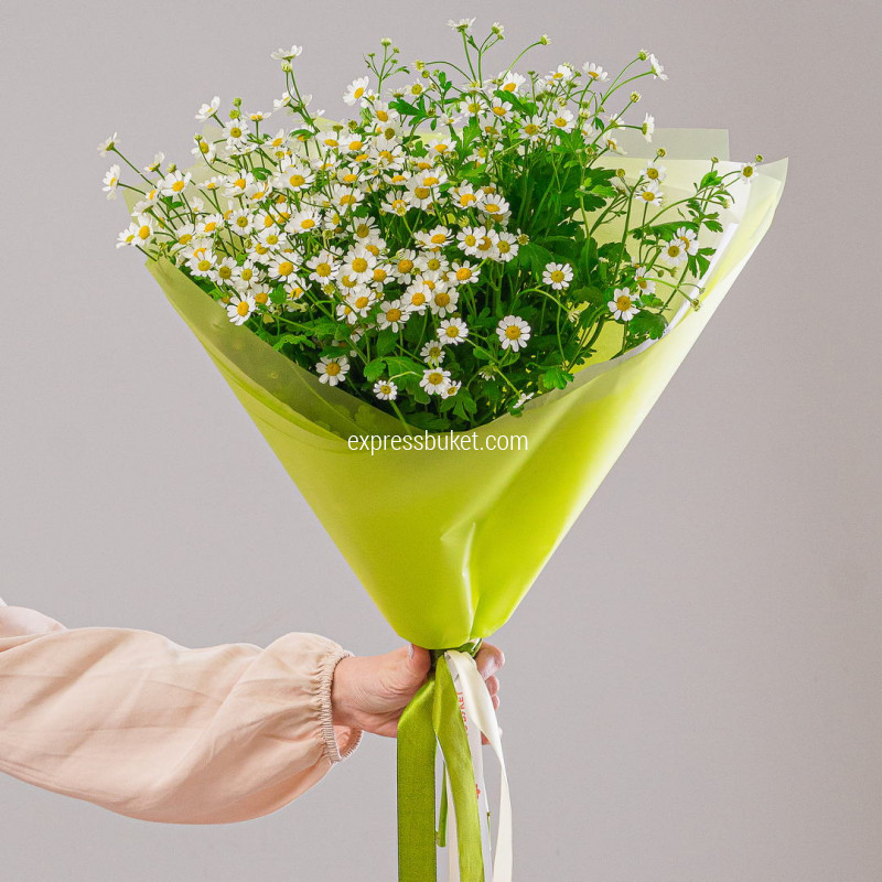 Подари улыбку