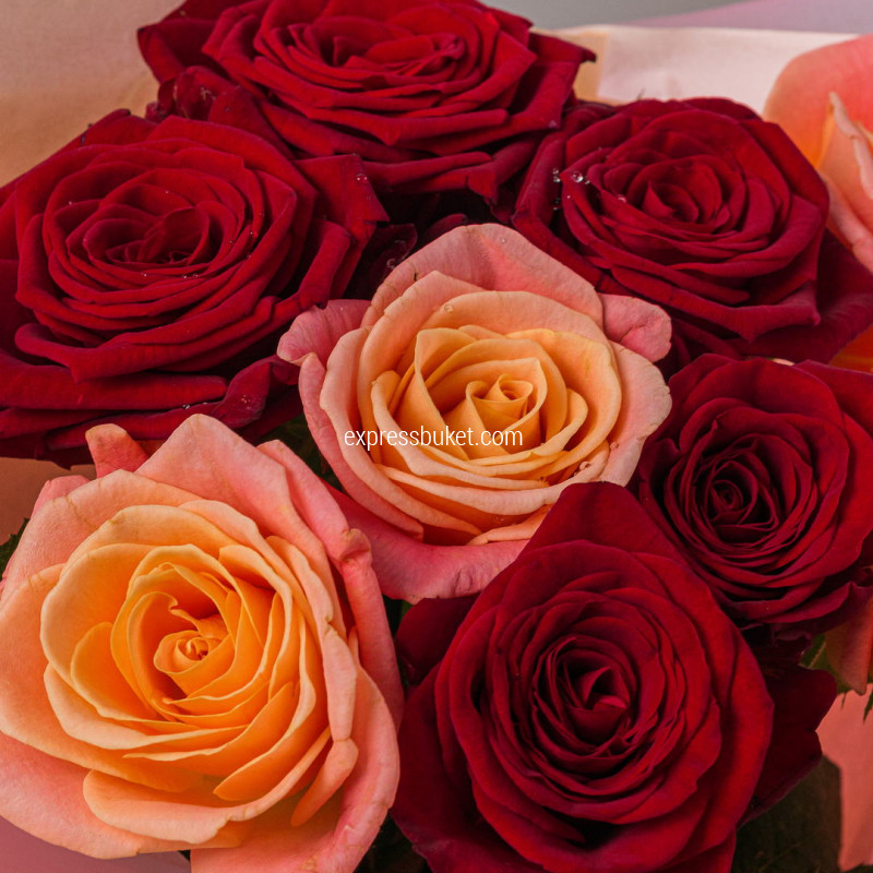 Микс роз персиковые+красные 9шт