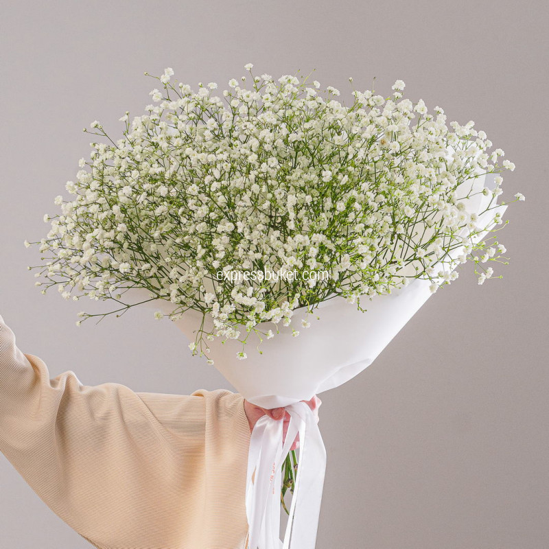 Букет из 7 белых гипсофил