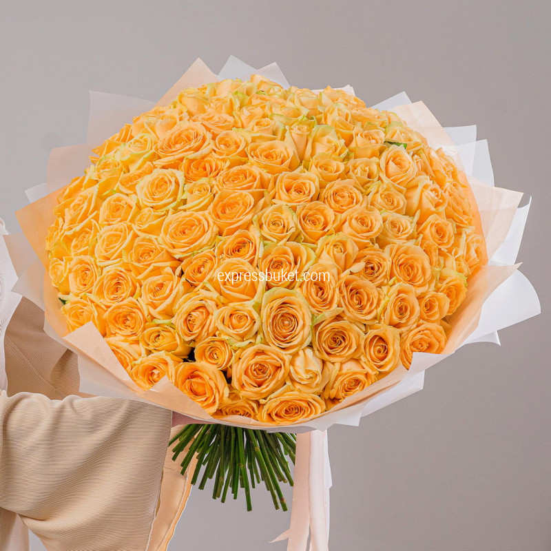 101 роза Аваланж Пич