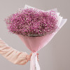 Букет из 15 розовых гипсофил