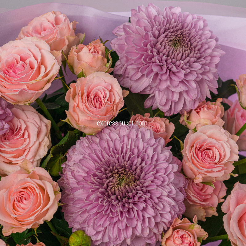 Фиолетовый акцент