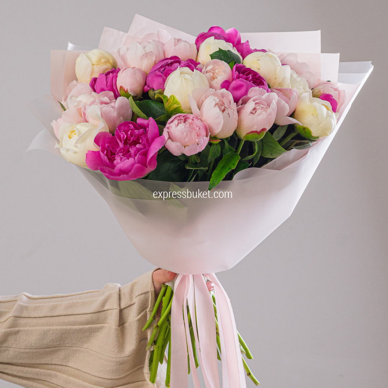 Пиономания