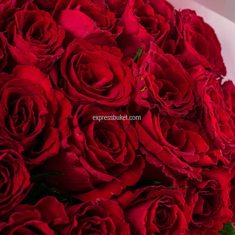 25 красных фирменных роз
