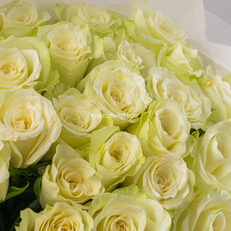 Букет из 25 белой розы 40 см