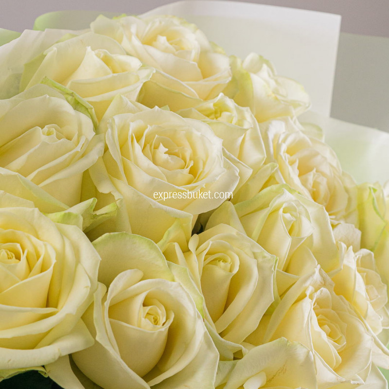 Букет из 15 роз Аваланж