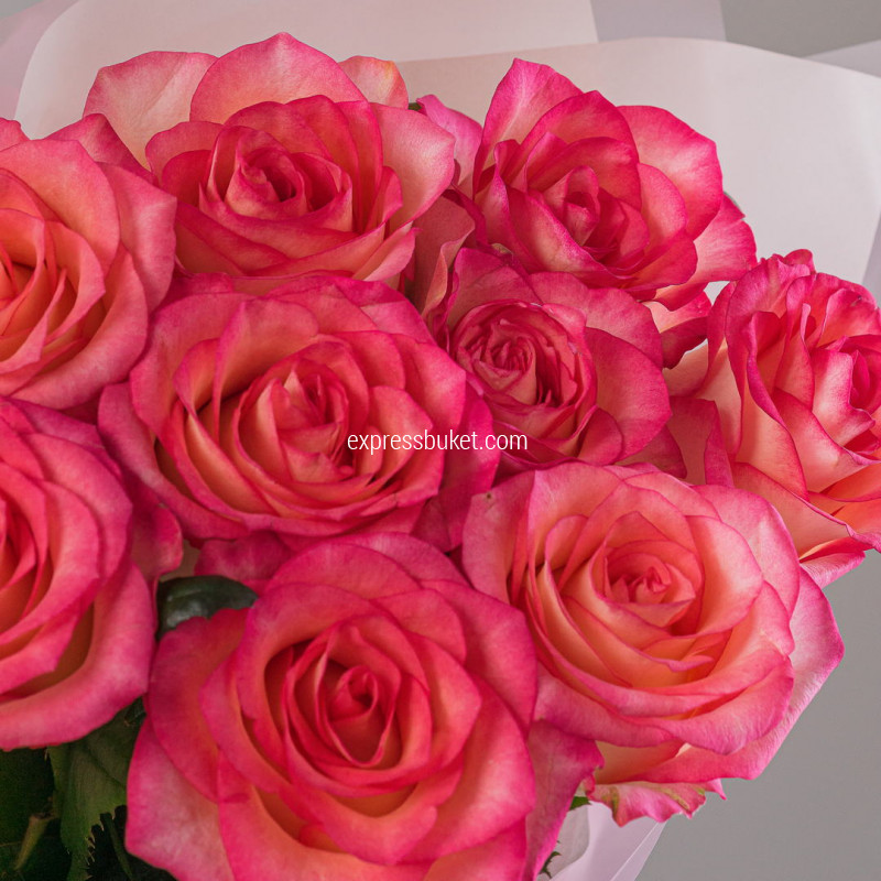 Букет из 9 роз Джумилия