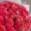 Букет роз Джумилия 25 шт