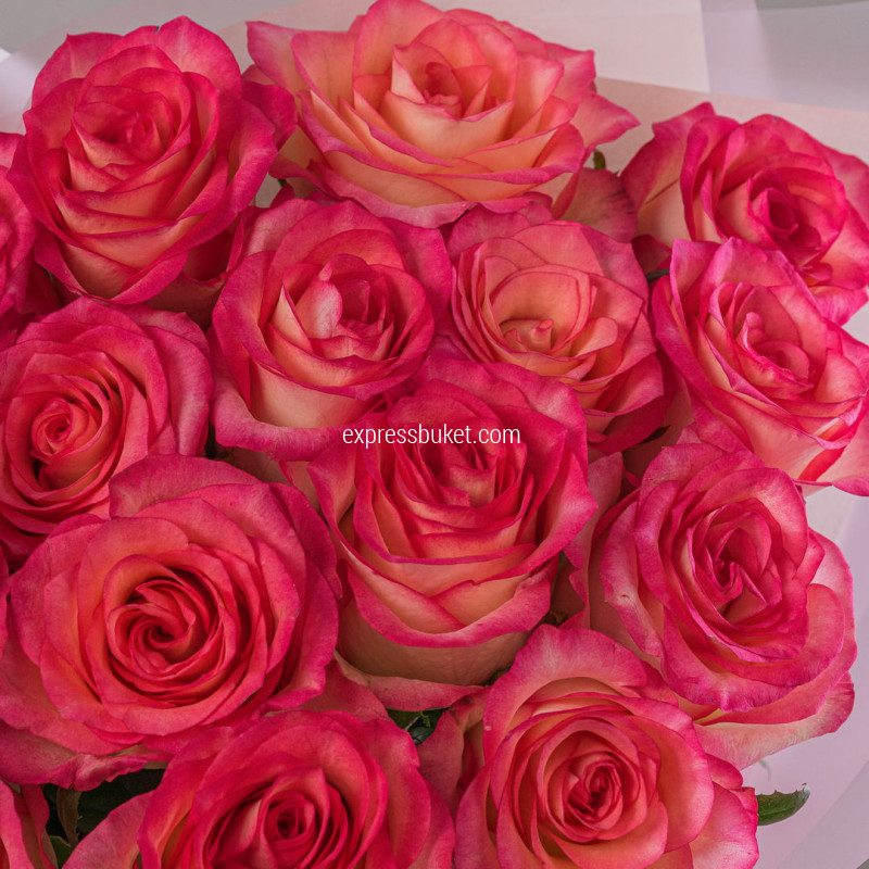 Букет роз Джумилия 15 шт