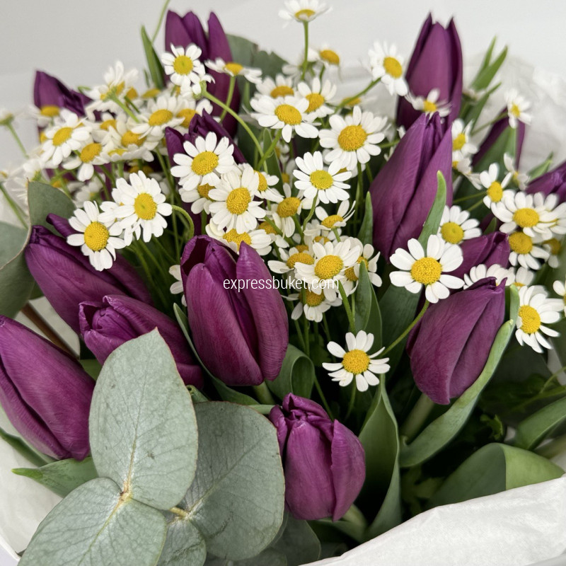 Весенняя радуга цветов