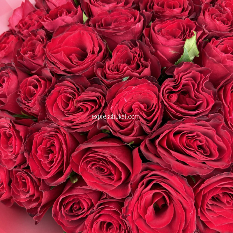 Прекрасное утро