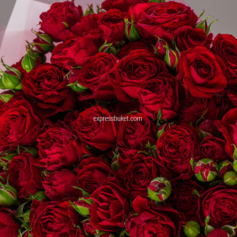 Искры весны