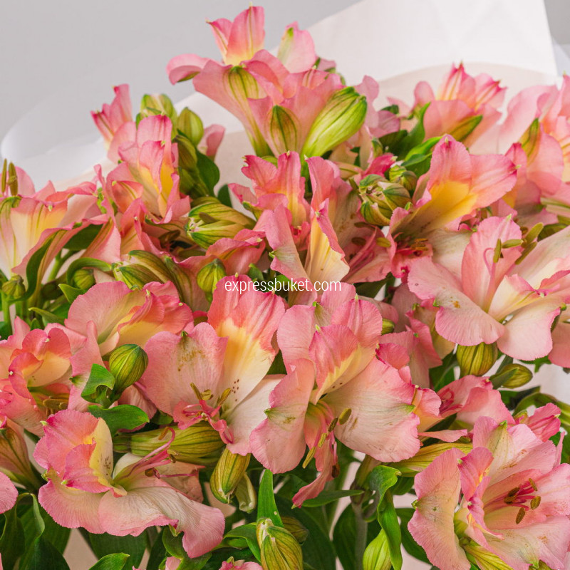 Легкий флирт