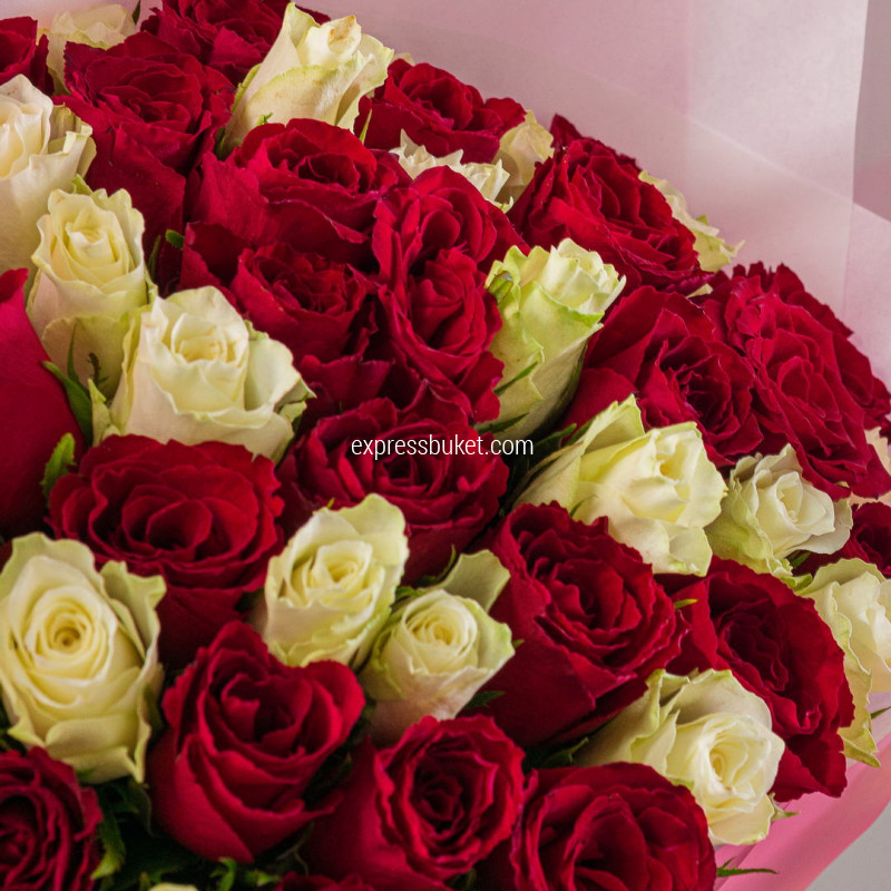 51 роза красные+белые