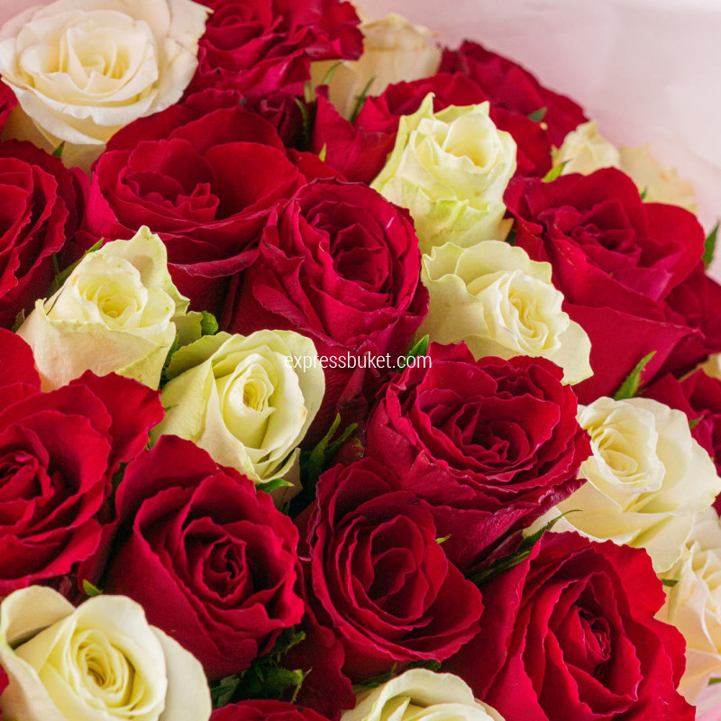 35 роз красные+белые