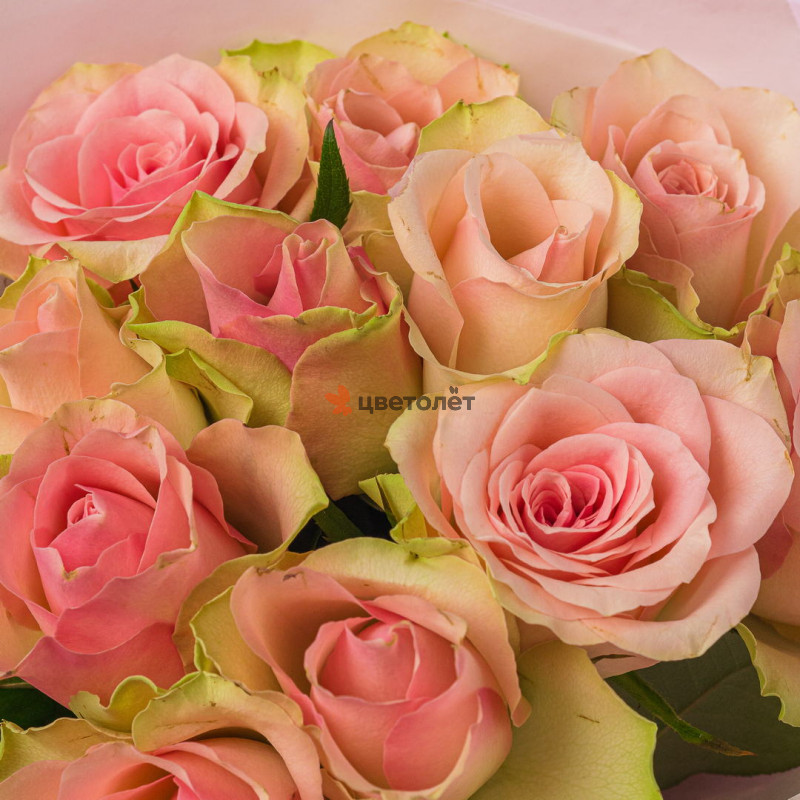 Розовый стиль 11 роз