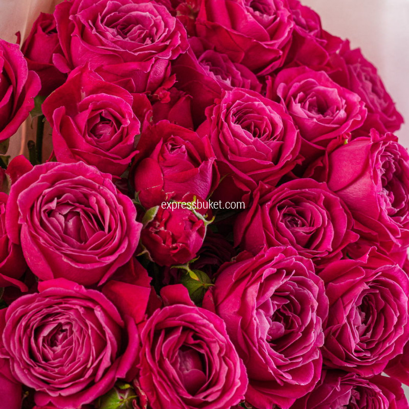 Букет из 9 пионовидных роз Мисс Баблз 