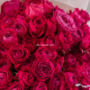 Букет из 15 пионовидных роз Мисс Баблз 