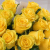 Желтый стиль 15 роз