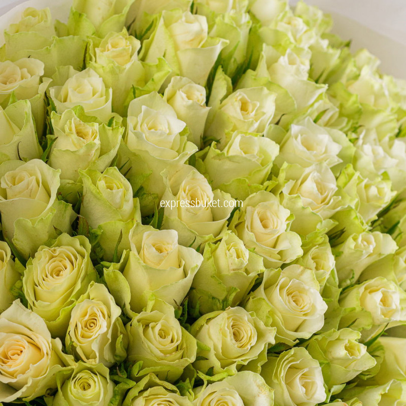 Букет из 101 белой розы 40 см