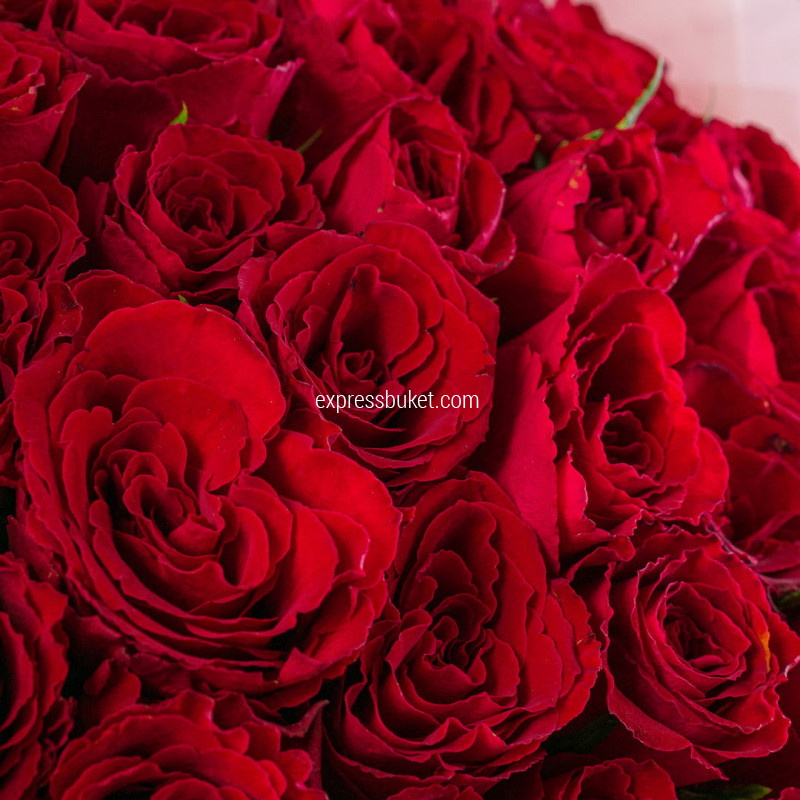 Букет из 35 красных роз