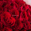 Букет из 35 красных роз