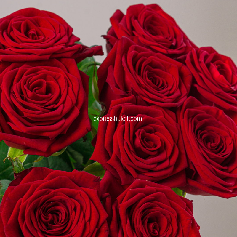 Букет из 9 красных роз 70см