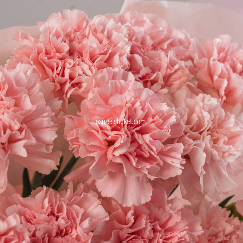 Букет из 11 диантусов