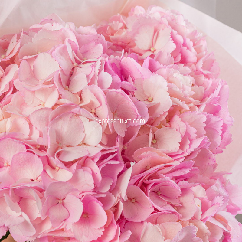 Букет из 3 гортензий