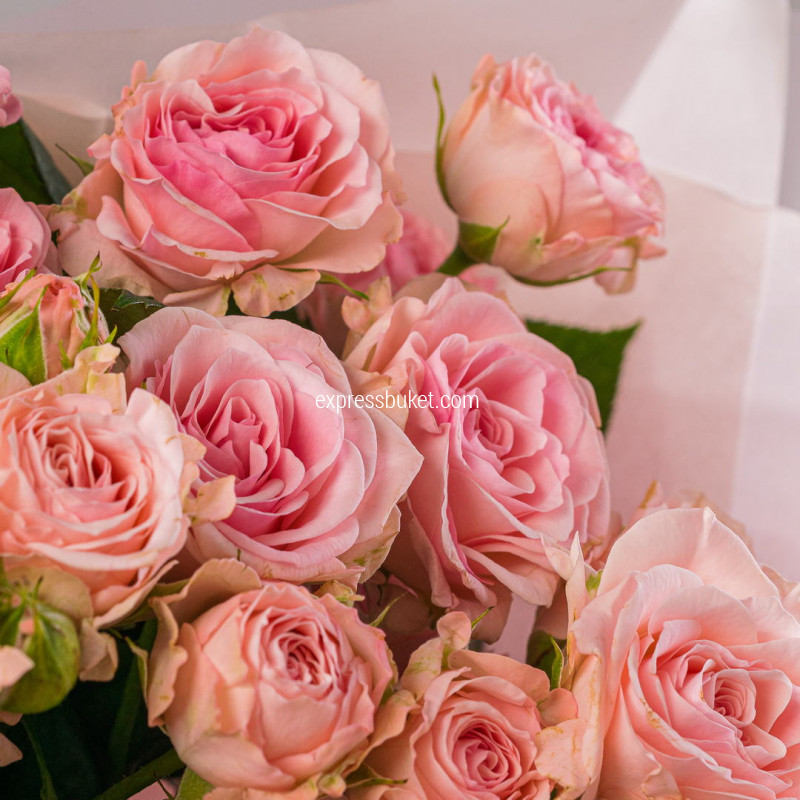 9 кустовых роз