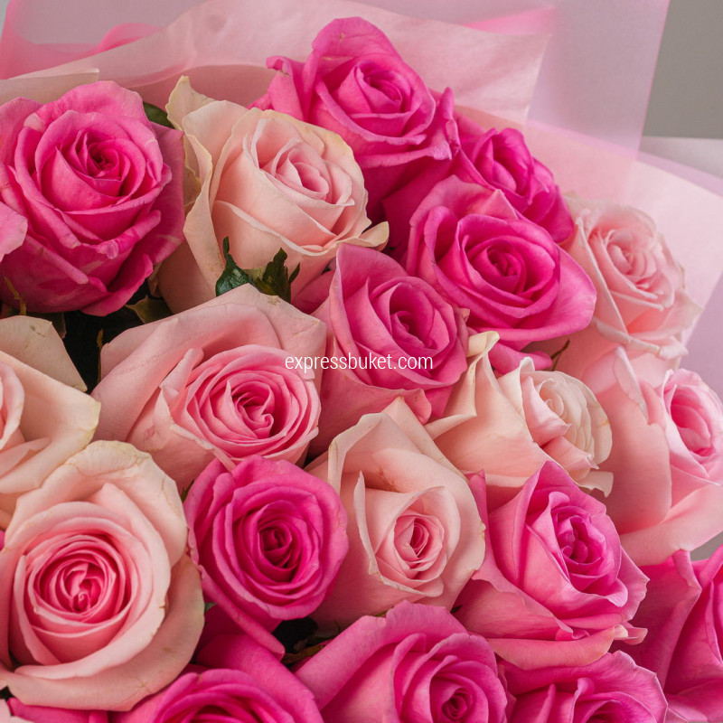 Вечная классика