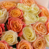 Микс роз персиковые+розовые