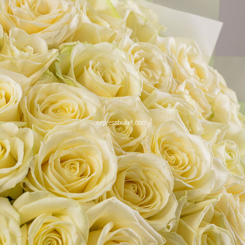 Букет из 35 роз Аваланж