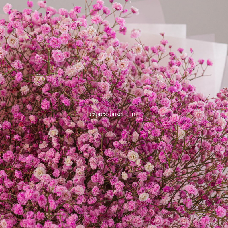 Букет из 9 розовых гипсофил