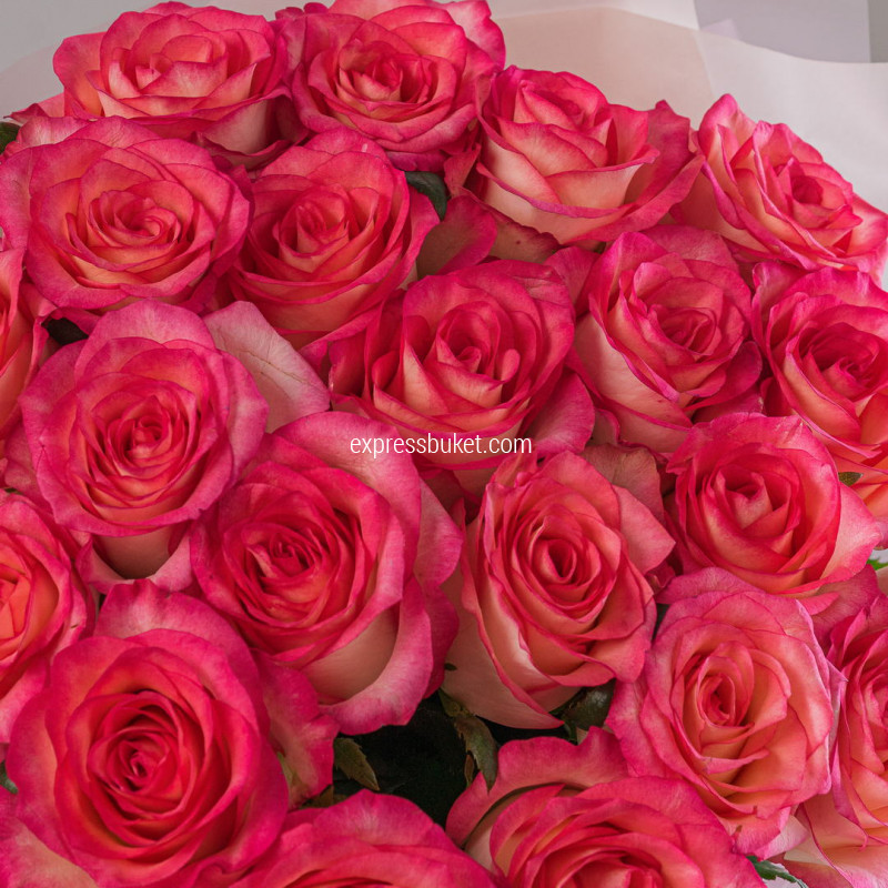 Букет из 21 розы Джумилия