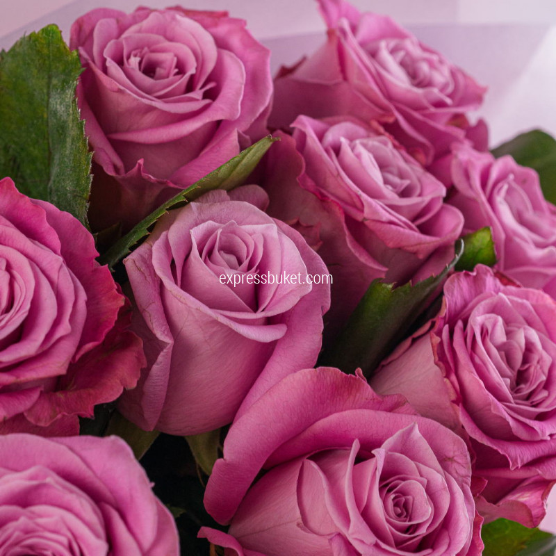 Букет из 9 роз Маритим