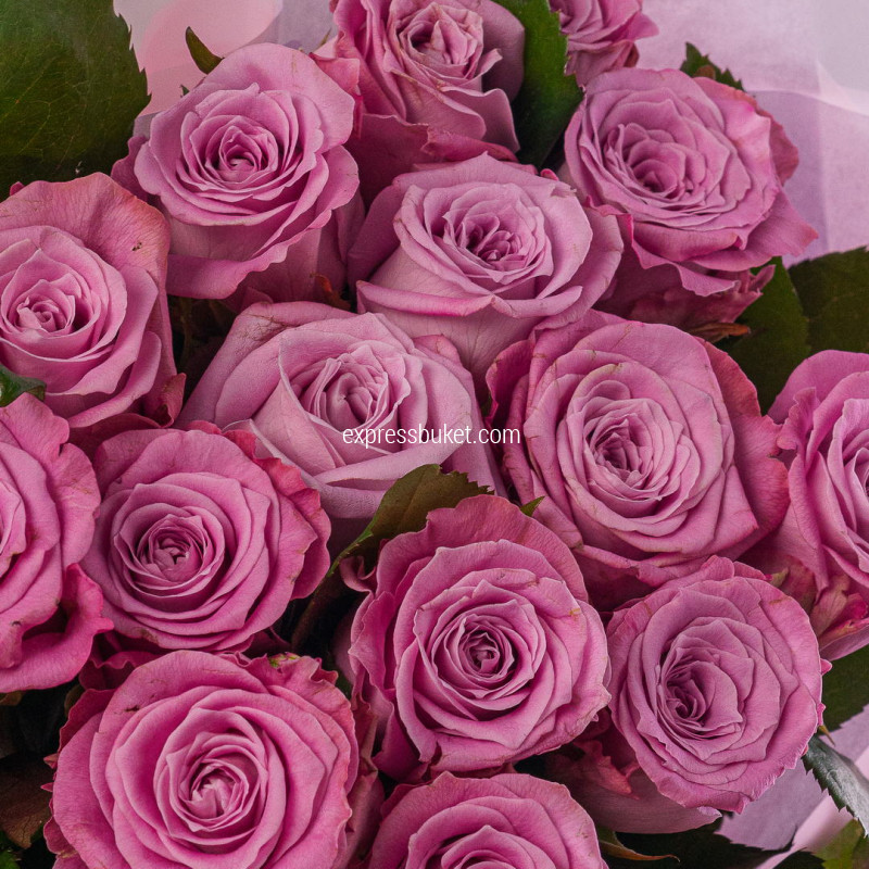 Букет из 15 роз Маритим